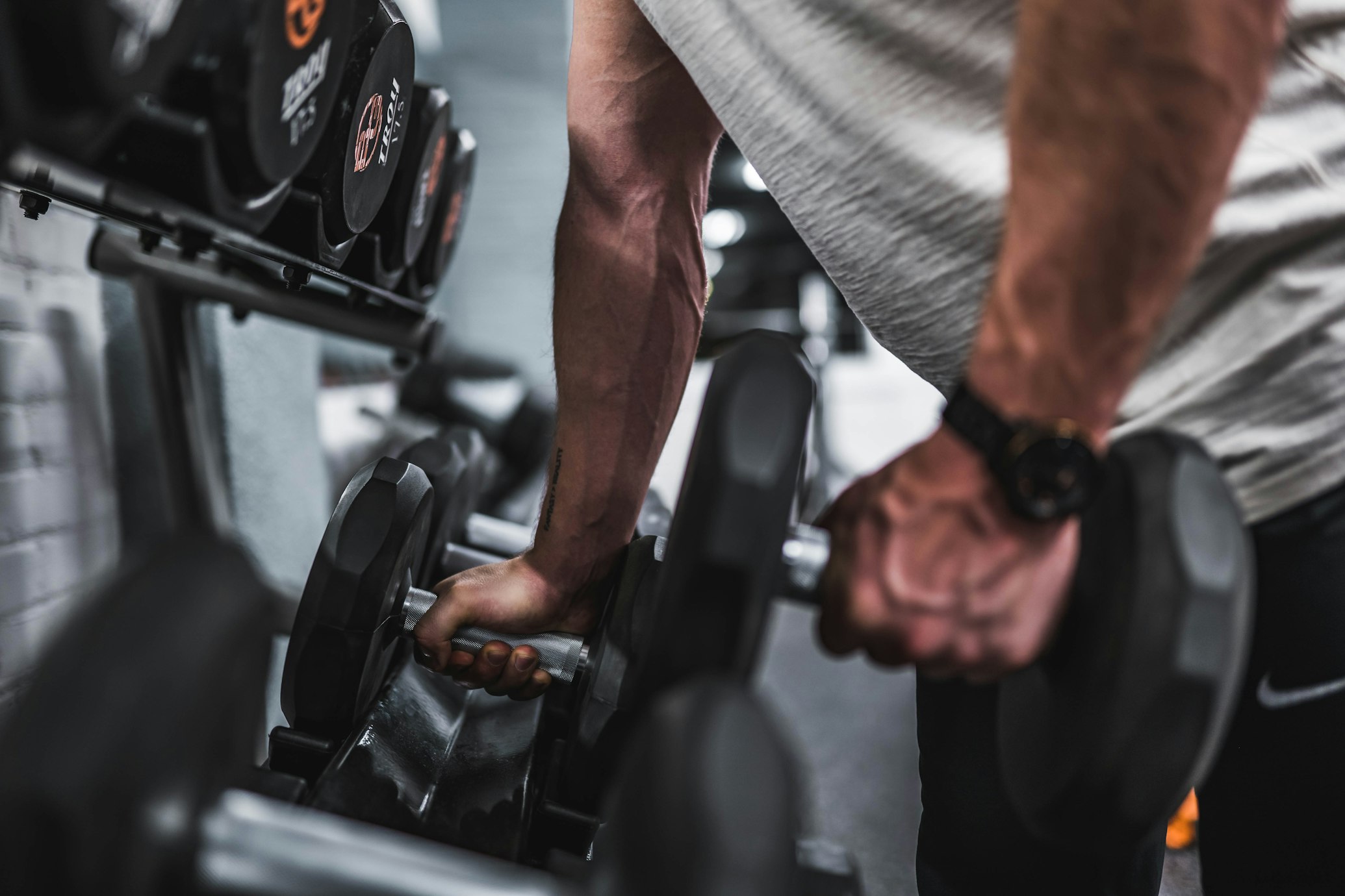 Muscle building